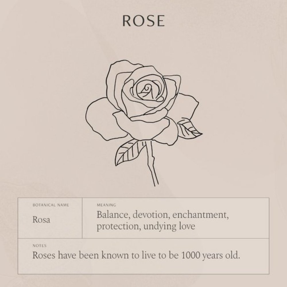 Rose June Birth Flower Engraved Cute Gift Necklace - Picture 6 of 16